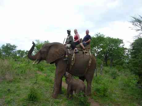 African Dream